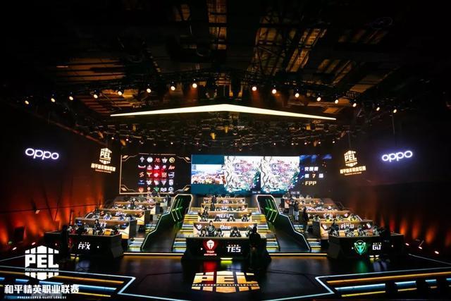 森林狼队在 森林狼队在